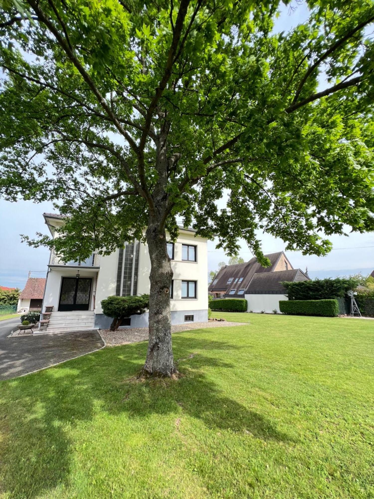 Bonne Idee - Suite Georges - Meuble De Tourisme 4 Etoiles Châtenois Exterior foto
